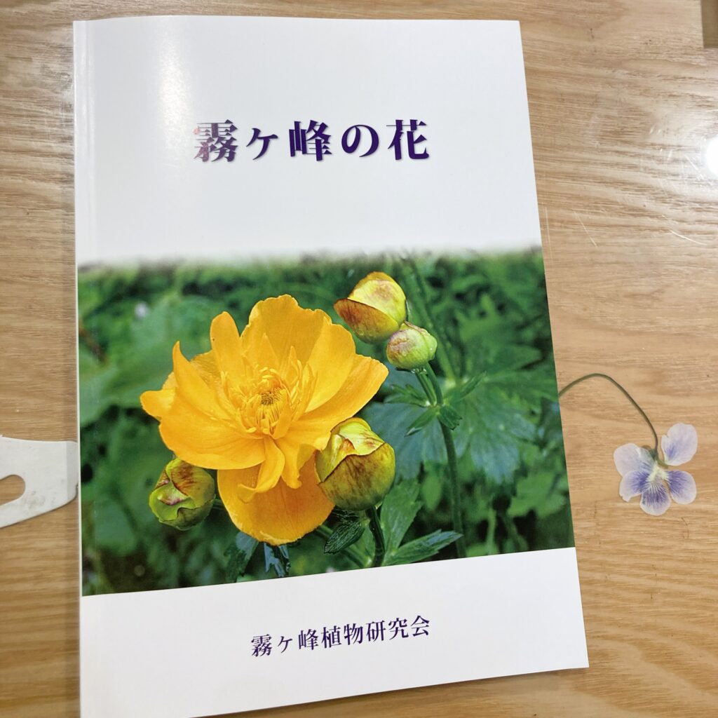 信州諏訪霧ヶ峰高原別荘地　霧ヶ峰　ビバルデの丘　長野県諏訪市　ビーナスライン　別荘　山　森　森林　自然　富士山　八ヶ岳　南アルプス　中央アルプス　眺望　植物　山野草　草花　山の花　アウトドア　野生動物　