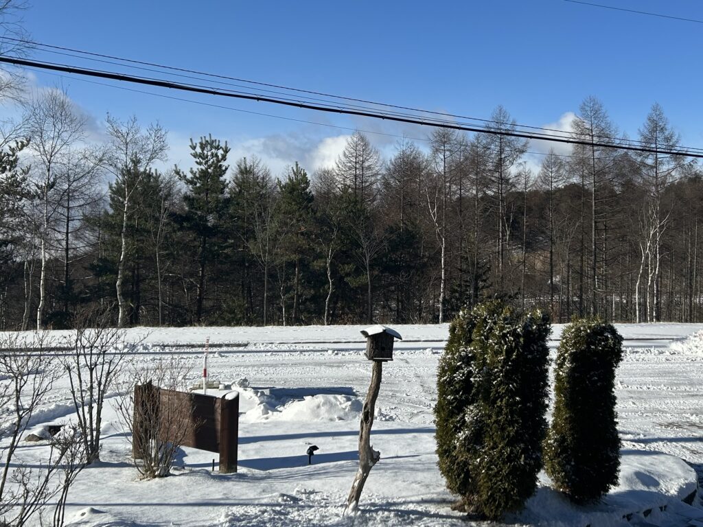 信州諏訪霧ヶ峰高原別荘地　霧ヶ峰　ビバルデの丘　長野県諏訪市　ビーナスライン　別荘　山　森　森林　自然　富士山　八ヶ岳　南アルプス　中央アルプス　眺望　雪　積雪　道路