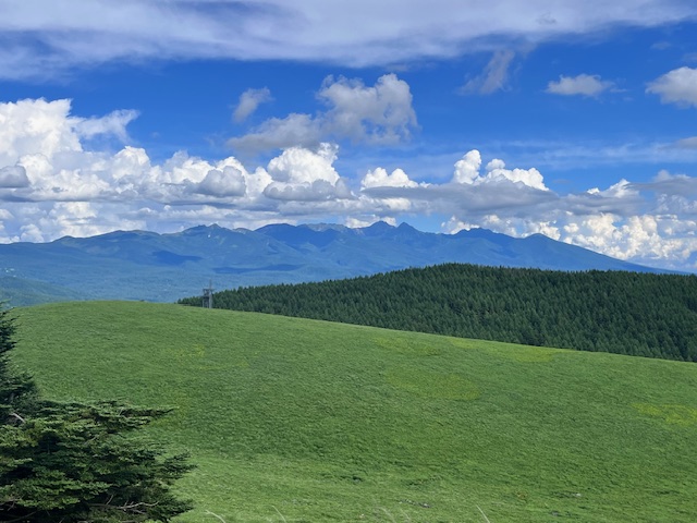 霧ヶ峰別荘　風景
霧ヶ峰の花