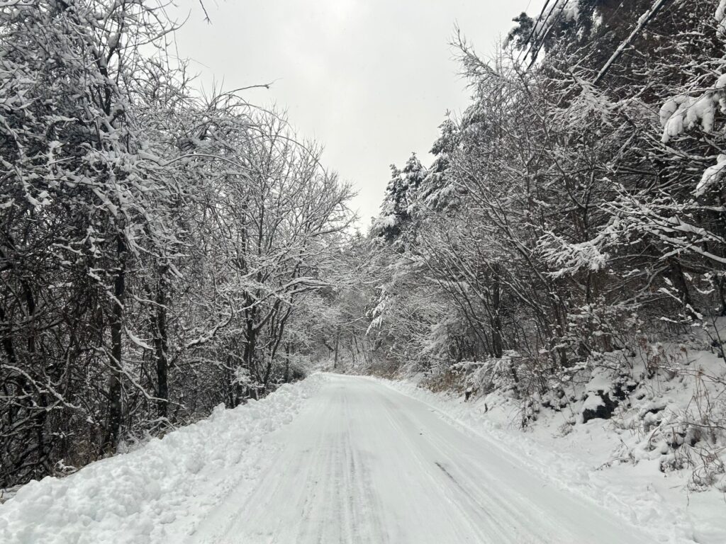 信州諏訪霧ヶ峰高原別荘地　霧ヶ峰　ビバルデの丘　長野県諏訪市　ビーナスライン　別荘　山　森　森林　自然　雪　積雪　道路