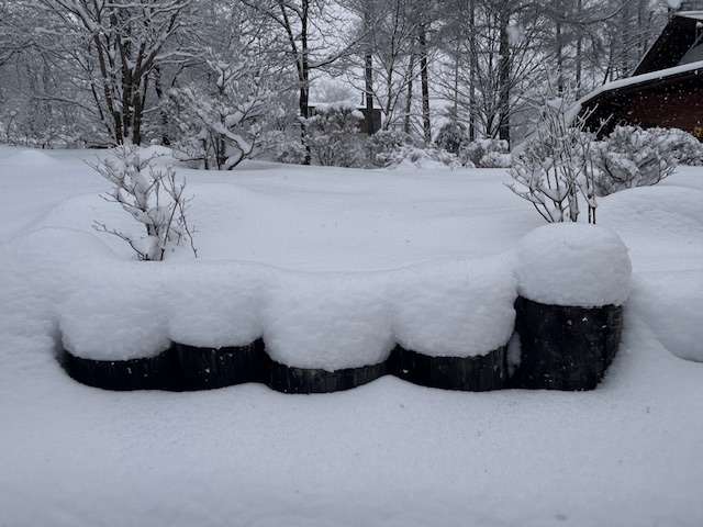 霧ヶ峰　積雪
降雪
別荘の除雪